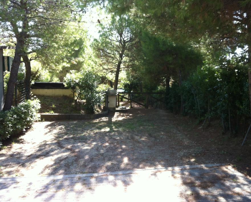 Giardino ombreggiato con alberi e cancello di legno.